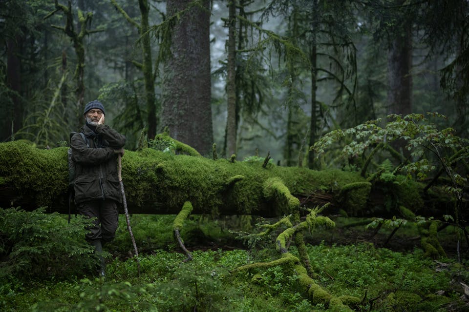 En mann med lue og vandrestav lener seg mot en mosegrodd trestamme i skogen.
